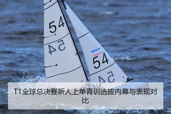 quan-qiu-zong-jue-sai-xin-ren-shang-dan-qing-xun-xuan-ba-nei-mu-yu-biao-xian-dui-bi-2-560.jpg